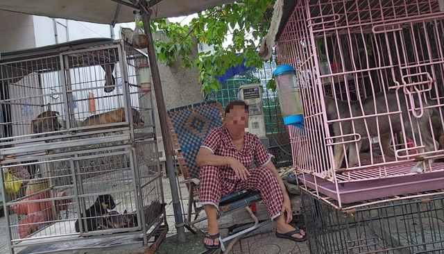 Nhức nhối trộm chó, mèo ở TP.HCM - Kỳ 2: Dùng AI tạo chó giả để lừa tiền chuộc- Ảnh 12. Nhức nhối trộm chó, mèo ở TP.HCM - Kỳ 2: Dùng AI tạo chó giả để lừa tiền chuộc - Ảnh 12.