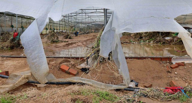 Lũ cuốn tr&ocirc;i &ldquo;thủ phủ&rdquo; rau L&acirc;m Đồng - Ảnh 2.