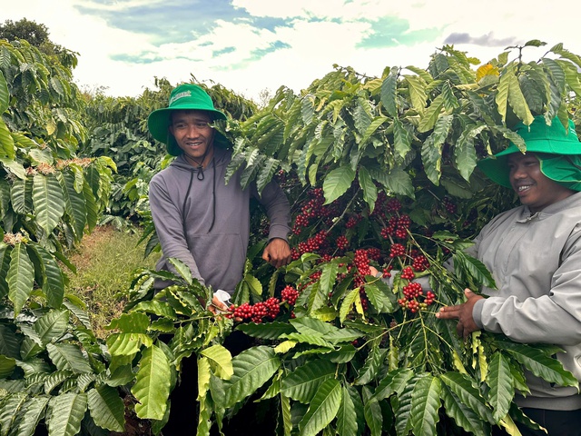 - Ảnh 2. - Ảnh 2.