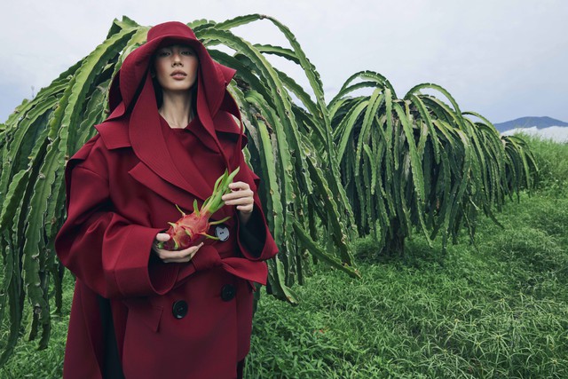 Lần đầu tiên trái thanh long 'bước vào' thời trang- Ảnh 2.