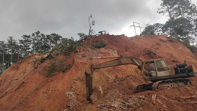 Cận cảnh đ&egrave;o Mimosa v&agrave; D&rsquo;Ran trước ng&agrave;y th&ocirc;ng xe - Ảnh 9.