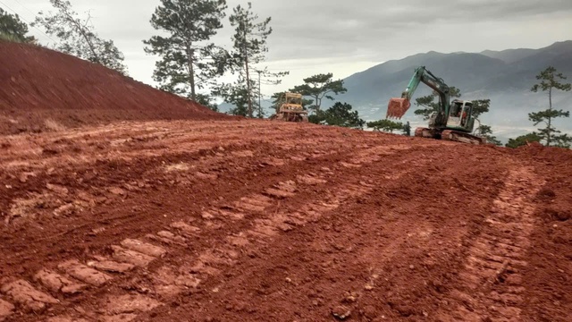 Cận cảnh đ&egrave;o Mimosa v&agrave; D&rsquo;Ran trước ng&agrave;y th&ocirc;ng xe - Ảnh 8.