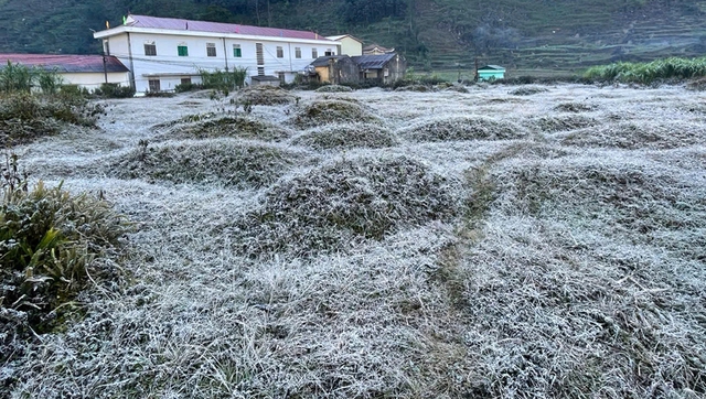 Băng gi&aacute;, sương muối đến sớm, m&ugrave;a đ&ocirc;ng năm nay r&eacute;t mạnh - Ảnh 1.