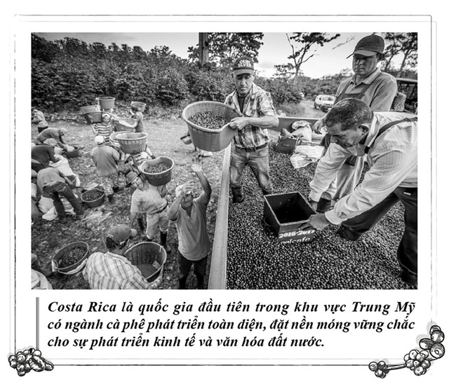 Kỳ 115: Cà phê, nền tảng phát triển toàn diện của Costa Rica - Ảnh 2.