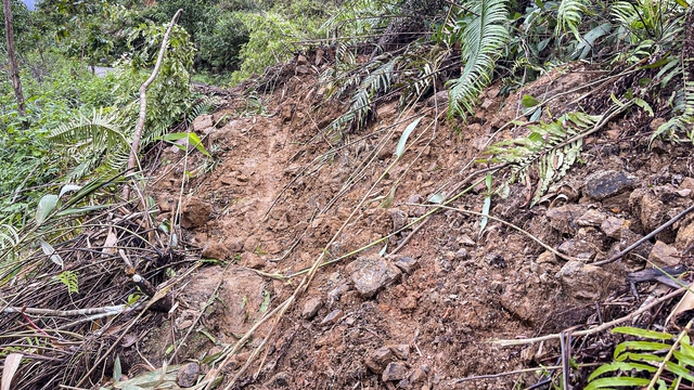 Quảng Ngãi: Phân bổ 100 tỉ đồng hỗ trợ khắc phục hậu quả mưa lũ - Ảnh 3.