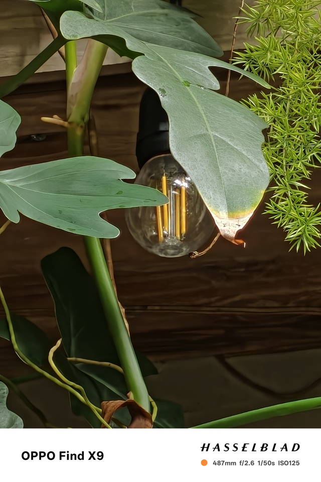 Đánh giá chuyên sâu camera OPPO Find X9 - Ảnh 17.