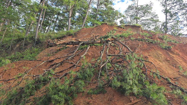 Đèo Gia Bắc trên QL28 vẫn thông xe sau khi công bố tình huống khẩn cấp - Ảnh 3.