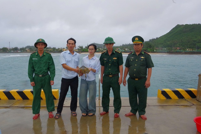 Quảng Ngãi: Thiếu nữ phát hiện đồi mồi quý hiếm, nhờ biên phòng cứu hộ- Ảnh 3.