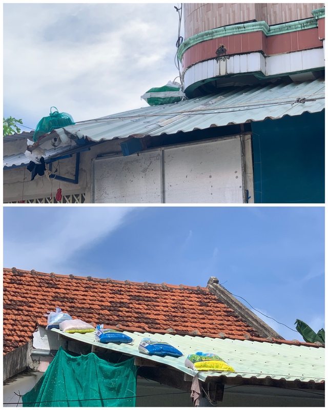 Ứng phó bão số 13: Người dân Đắk Lắk gia cố nhà cửa, di dời tôm hùm - Ảnh 4.