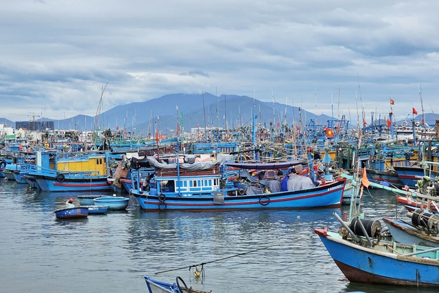 Ứng phó bão Kalmaegi: yêu cầu tàu thuyền vào bờ trước 10 giờ ngày 5.11 - Ảnh 1.