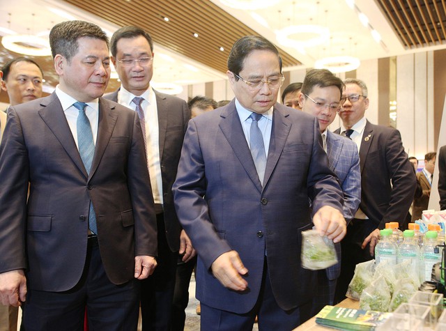 Đ&agrave; Nẵng sẽ đ&oacute;ng vai tr&ograve; cửa ng&otilde; trung chuyển quốc tế- Ảnh 1.