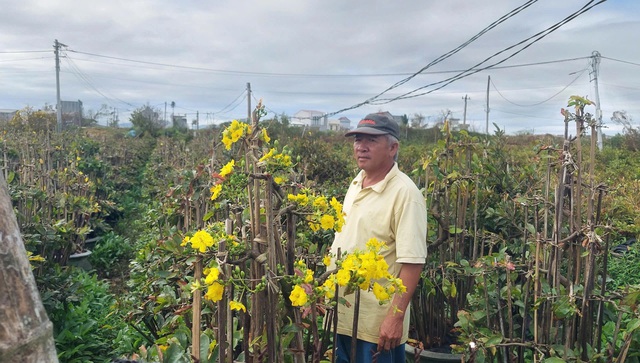 Tan hoang những vườn hoa ngập lũ - Ảnh 2.