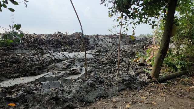 Th&acirc;m nhập &ldquo;đại c&ocirc;ng trường&rdquo; san lấp tr&aacute;i ph&eacute;p - Ảnh 6.