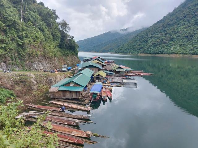 Cá chết vì mắc cạn trên hồ thủy điện- Ảnh 1.