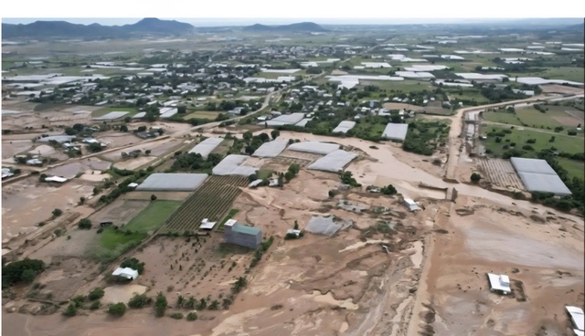 Khánh Hòa, Lâm Đồng khẩn cấp ứng phó bão Kalmaegi - Ảnh 4.