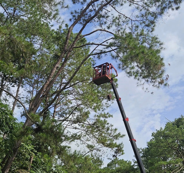 Lãnh đạo tỉnh Khánh Hòa đồng loạt kiểm tra công tác ứng phó bão số 13 Kalmaegi - Ảnh 3. Lãnh đạo tỉnh Khánh Hòa đồng loạt kiểm tra công tác ứng phó bão số 13 Kalmaegi - Ảnh 3.