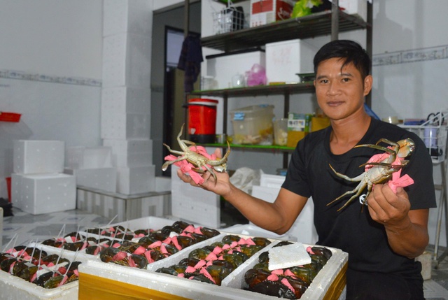 Cua Cà Mau khẳng định vị thế đặc sản quốc gia- Ảnh 1. Cua Cà Mau khẳng định vị thế đặc sản quốc gia- Ảnh 1.