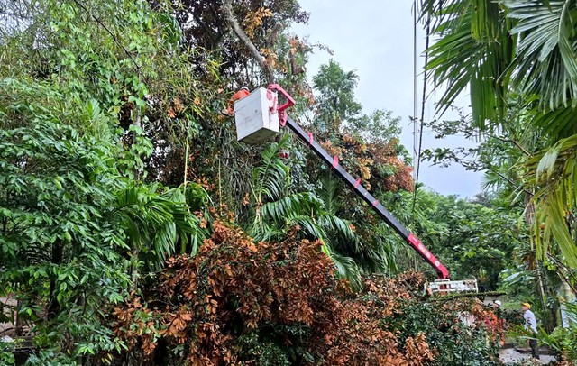 PC Đ&agrave; Nẵng triển khai đồng bộ c&aacute;c biện ph&aacute;p ứng ph&oacute; b&atilde;o số 13- Ảnh 1.