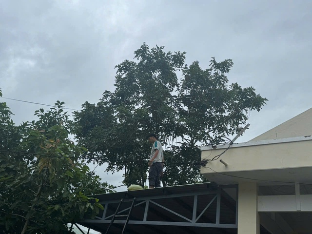 T&acirc;y Gia Lai sẵn s&agrave;ng ứng ph&oacute; si&ecirc;u b&atilde;o Kalmaegi - Ảnh 3.