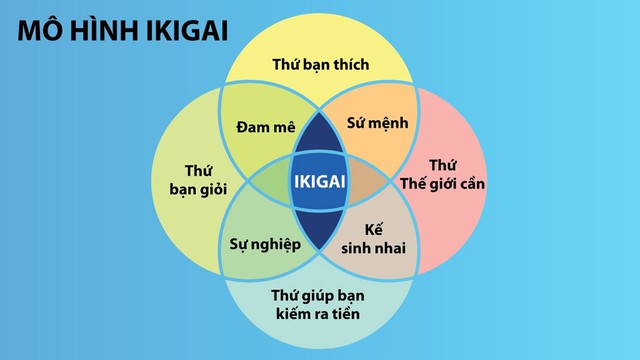 Chạm đến 'Ikigai' c&ugrave;ng Dai-ichi Life Việt Nam- Ảnh 1.