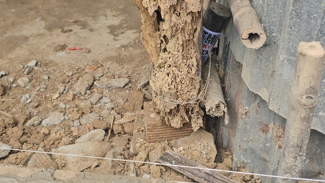 B&aacute;o Thanh Ni&ecirc;n tiếp tục x&acirc;y nh&agrave; nh&acirc;n &aacute;i ở Đồng Nai- Ảnh 5.