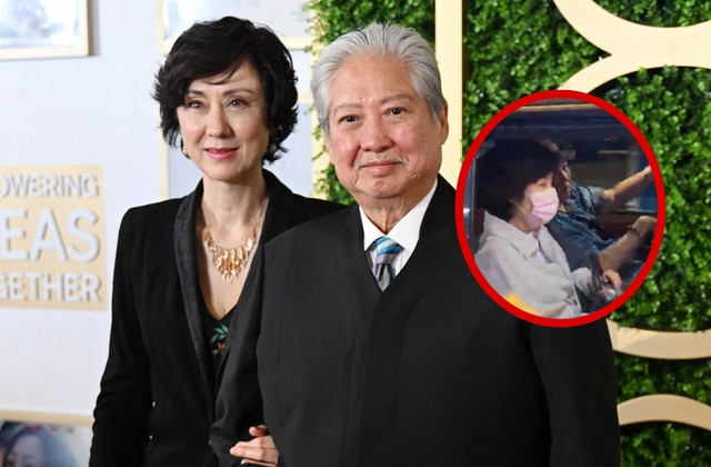 Vợ hoa hậu hộ tống 'sao v&otilde; thuật' Hồng Kim Bảo sang Việt Nam- Ảnh 1.