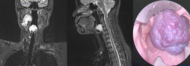 Lan Tỏa Tinh Thần Hội Nhập Và Tiếng Nói Việt Trên Diễn Đàn Quốc Tế- Ảnh 3.