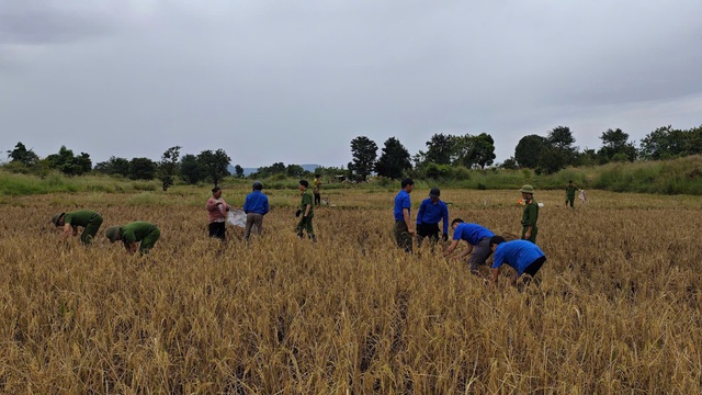 Đo&agrave;n vi&ecirc;n thanh ni&ecirc;n Gia Lai hỗ trợ người d&acirc;n ph&ograve;ng , chống b&atilde;o Kalmaegi an to&agrave;n - Ảnh 2.