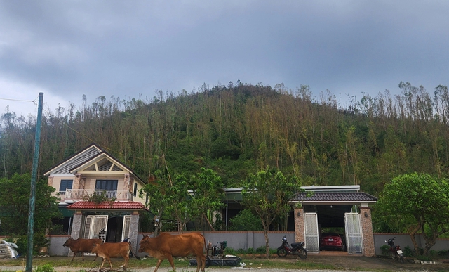 Sống bất an dưới chân núi lở- Ảnh 1. Sống bất an dưới chân núi lở- Ảnh 1.