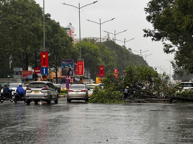 - Ảnh 2. - Ảnh 2.