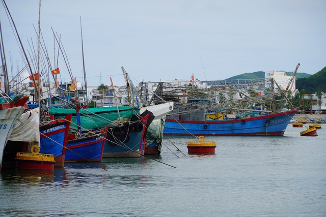 Khánh hòa thành lập 9 tổ công tác ứng phó bão Kalmaegi để bảo vệ người dân - Ảnh 1. Khánh hòa thành lập 9 tổ công tác ứng phó bão Kalmaegi để bảo vệ người dân - Ảnh 1.