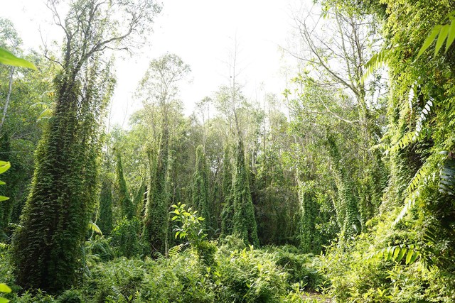 Miền đông nam TP.Hồ Chí Minh - Nơi khởi nguồn lý tưởng cho các startup trẻ- Ảnh 1.