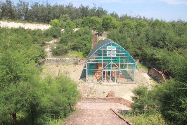 Tháp Chăm ở Huế ngập nhiều ngày, lãnh đạo thành phố phê bình chính quyền địa phương- Ảnh 3. Tháp Chăm ở Huế ngập nhiều ngày, lãnh đạo thành phố phê bình chính quyền địa phương- Ảnh 3.