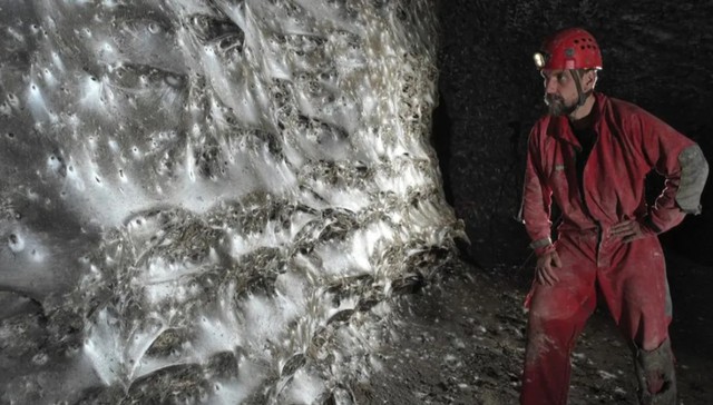 Điều bất ngờ bên trong mạng nhện lớn nhất thế giới - Ảnh 1.