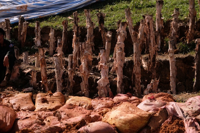 Khẩn cấp triển khai 48 mũi khoan phụt chống thấm thân đập hồ chứa nước Cay An - Ảnh 6.