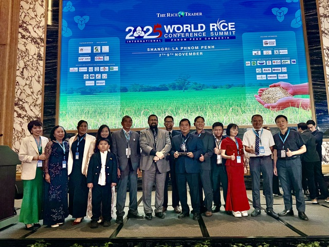 Nóng: Gạo ST25 lần thứ 3 thắng giải gạo ngon nhất thế giới
- Ảnh 3. Nóng: Gạo ST25 lần thứ 3 thắng giải gạo ngon nhất thế giới
- Ảnh 3.