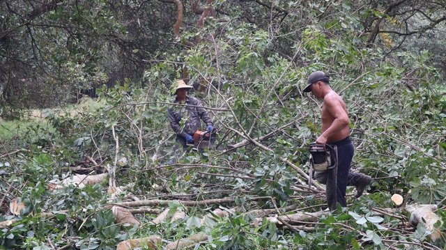 Nhận 21 tỉ đồng, bàn giao ngay đất dự án cao tốc Gia Nghĩa - Chơn Thành- Ảnh 3. Nhận 21 tỉ đồng, bàn giao ngay đất dự án cao tốc Gia Nghĩa - Chơn Thành- Ảnh 3.