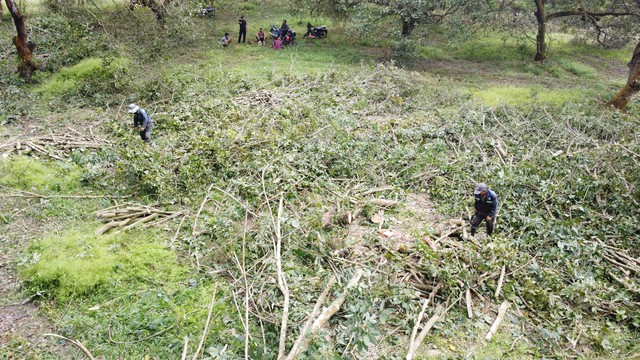 Nhận 21 tỉ đồng, bàn giao ngay đất dự án cao tốc Gia Nghĩa - Chơn Thành- Ảnh 2. Nhận 21 tỉ đồng, bàn giao ngay đất dự án cao tốc Gia Nghĩa - Chơn Thành- Ảnh 2.