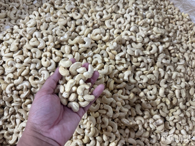 Xuất khẩu nhiều nhất thế giới, vì sao ngành điều Việt Nam vẫn bị ép giá?- Ảnh 1.