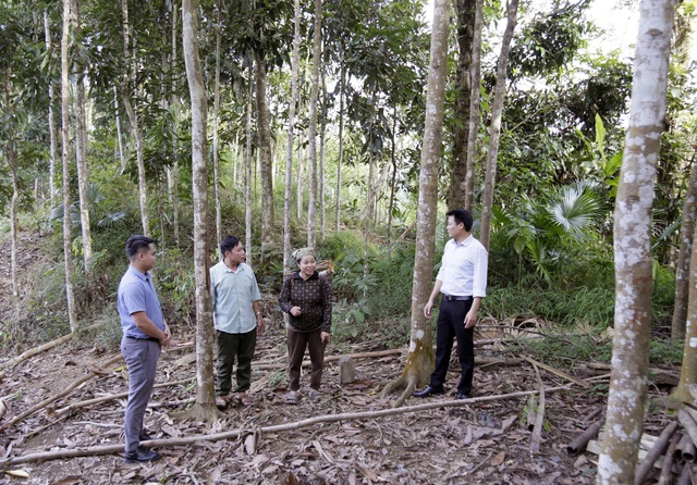 Đổi thay ở Khe Ván- Ảnh 3. Đổi thay ở Khe Ván- Ảnh 3.