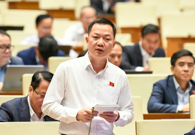 Đại biểu Quốc hội băn khoăn về hàng tỉ USD bỏ quên tại mỏ sắt Thạch Khê - Ảnh 2. Đại biểu Quốc hội băn khoăn về hàng tỉ USD bỏ quên tại mỏ sắt Thạch Khê - Ảnh 2.