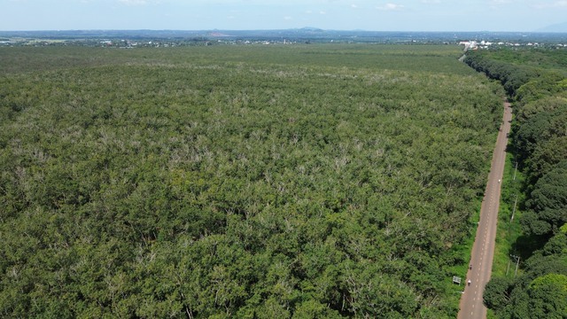 Kiến nghị x&acirc;y dựng Trung t&acirc;m h&agrave;nh ch&iacute;nh x&atilde; Xu&acirc;n Sơn mới rộng 78 ha - Ảnh 1.