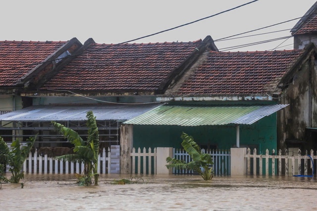 Thanh Niên và tôi: Cảm nhận từ những cuộc thi trên Báo Thanh Niên - Ảnh 1.