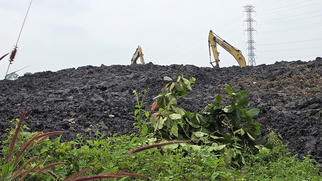 Th&acirc;m nhập 'đại c&ocirc;ng trường' san lấp tr&aacute;i ph&eacute;p: San lấp v&ocirc; tội vạ- Ảnh 6.