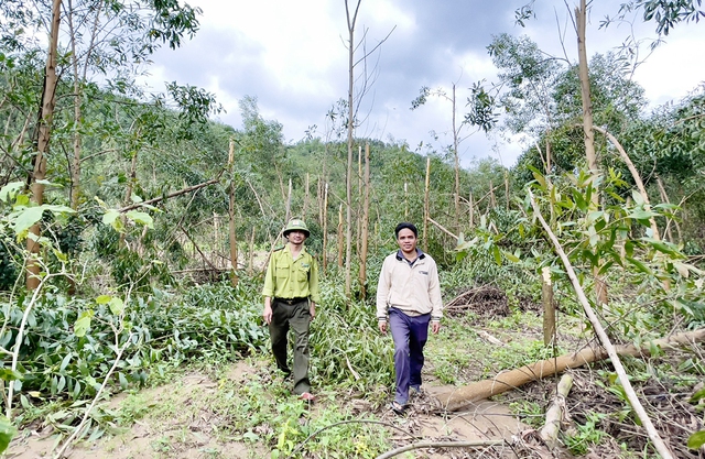 - Ảnh 1. - Ảnh 1.