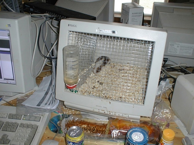 5 ý tưởng tận dụng màn hình máy tính cũ thay vì vứt bỏ - Ảnh 2. 5 ý tưởng tận dụng màn hình máy tính cũ thay vì vứt bỏ - Ảnh 2.