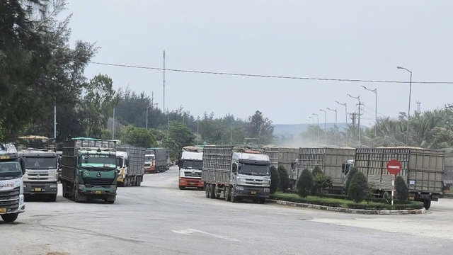 Quảng Ngãi chuẩn bị khởi công 3 dự án lớn chào mừng Đại hội Đảng- Ảnh 2. Quảng Ngãi chuẩn bị khởi công 3 dự án lớn chào mừng Đại hội Đảng- Ảnh 2.