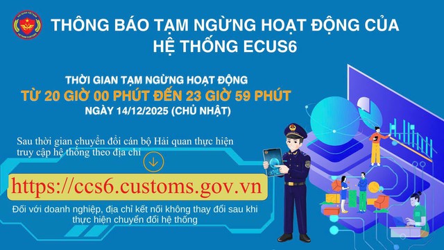 Hỏa tốc thông báo tạm ngừng hệ thống thông quan điện tử - Ảnh 1.