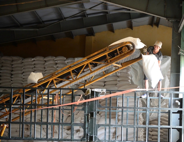 Đã đến lúc tính lại chiến lược cho gạo- Ảnh 1. Đã đến lúc tính lại chiến lược cho gạo- Ảnh 1.