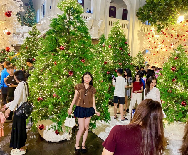 Đông nghịt người đến nơi này check-in ‘rừng thông Noel’ giữa lòng TP.HCM - Ảnh 1.